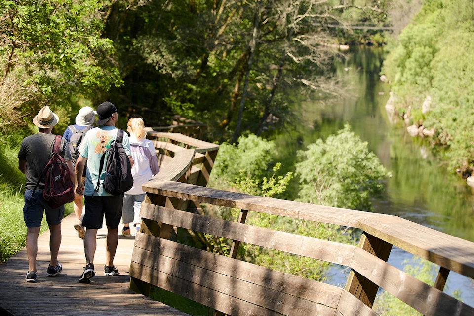 Paiva walkways views