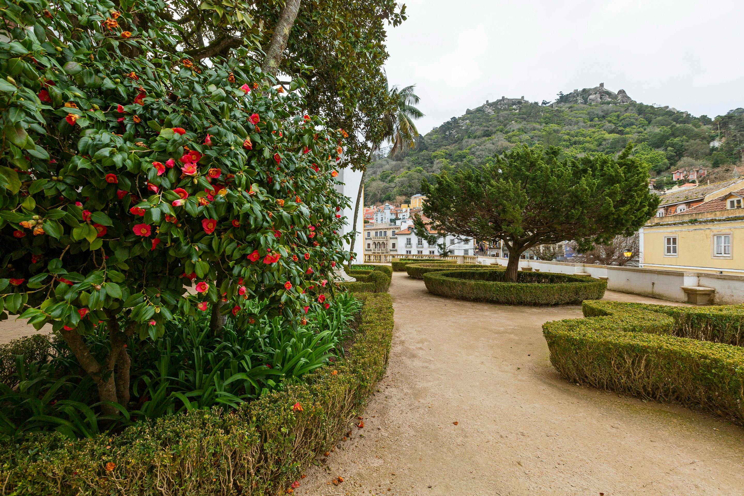 ΕΘΝΙΚΌ ΠΑΛΆΤΙ ΤΗΣ ΣΊΝΤΡΑ