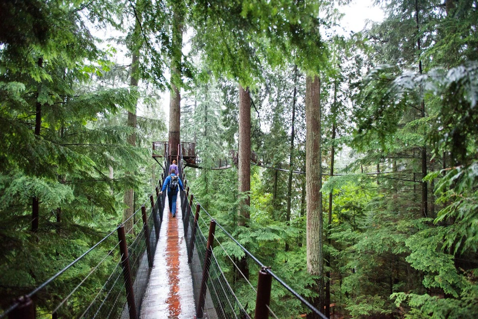 Malahat Skywalk