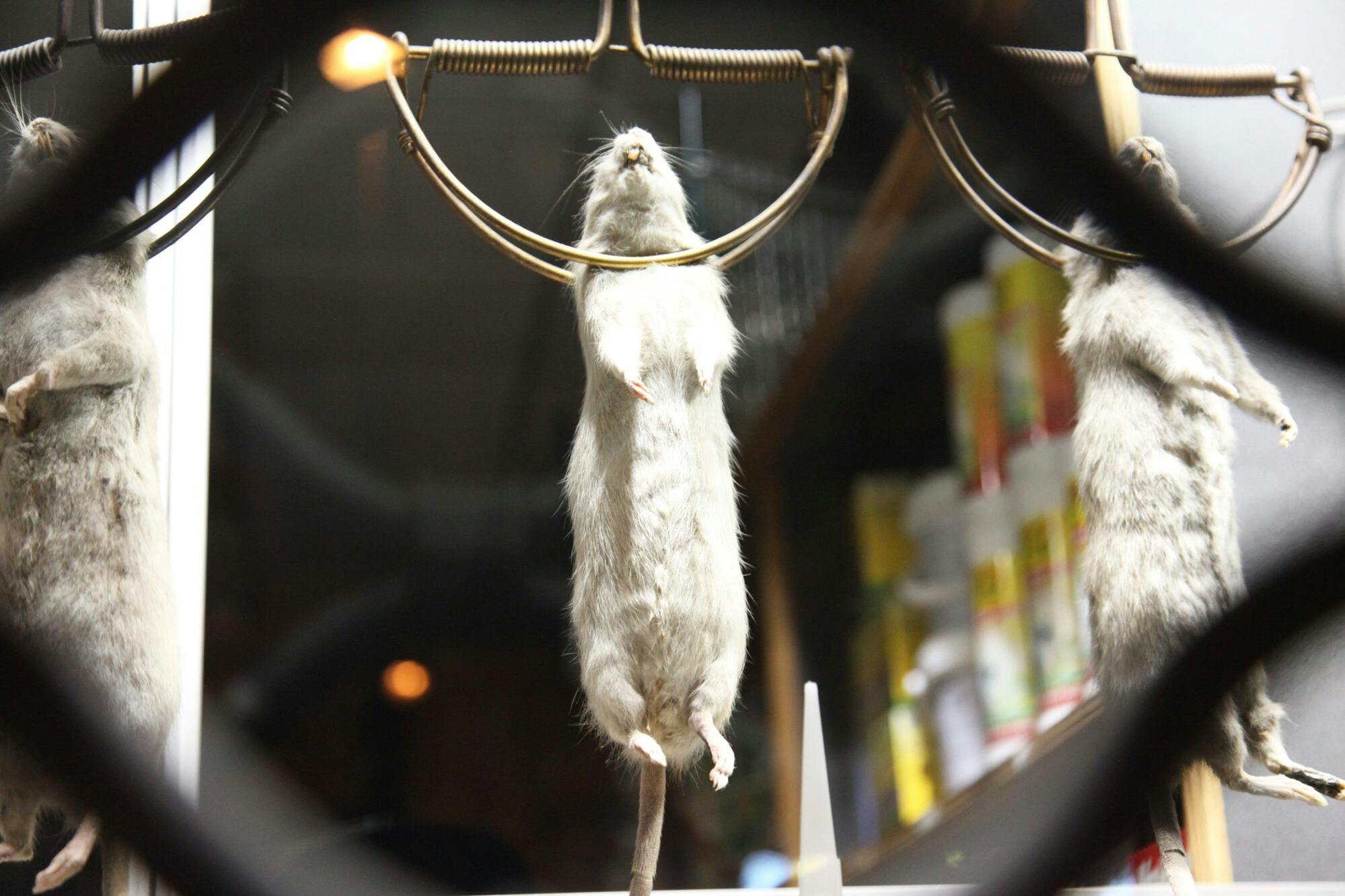 Φαντάσματα, θρύλοι και μυστήρια