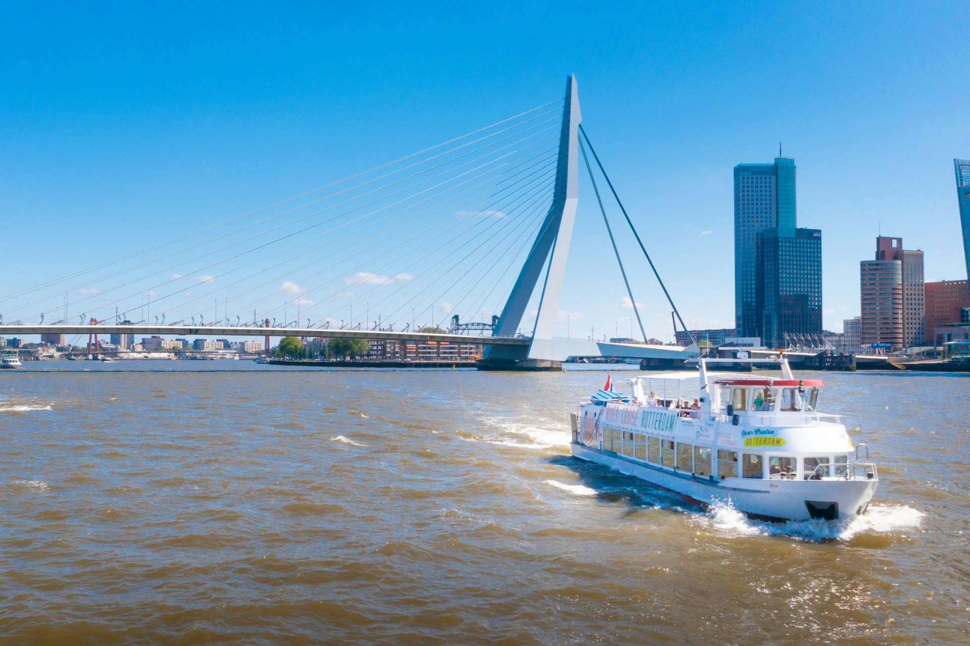 Rotterdam: Harbour Cruise with Live Guide