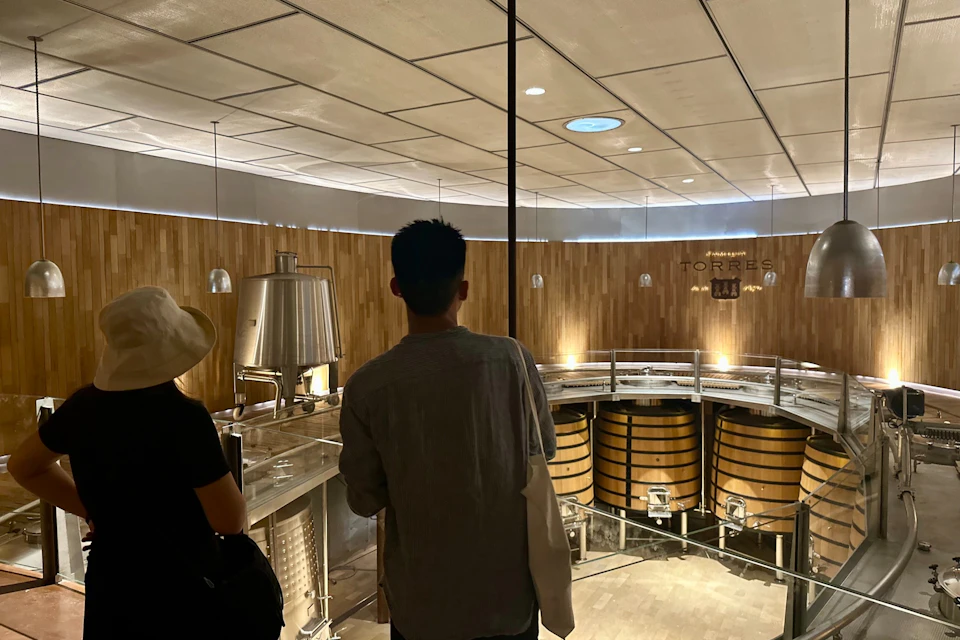 Big barrels of wine