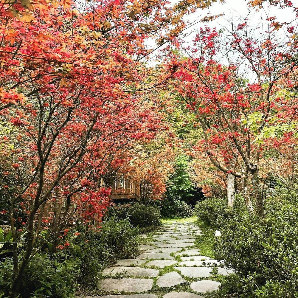 Futianyuan Leisure Farm Taipei: Outdoor Park Ticket