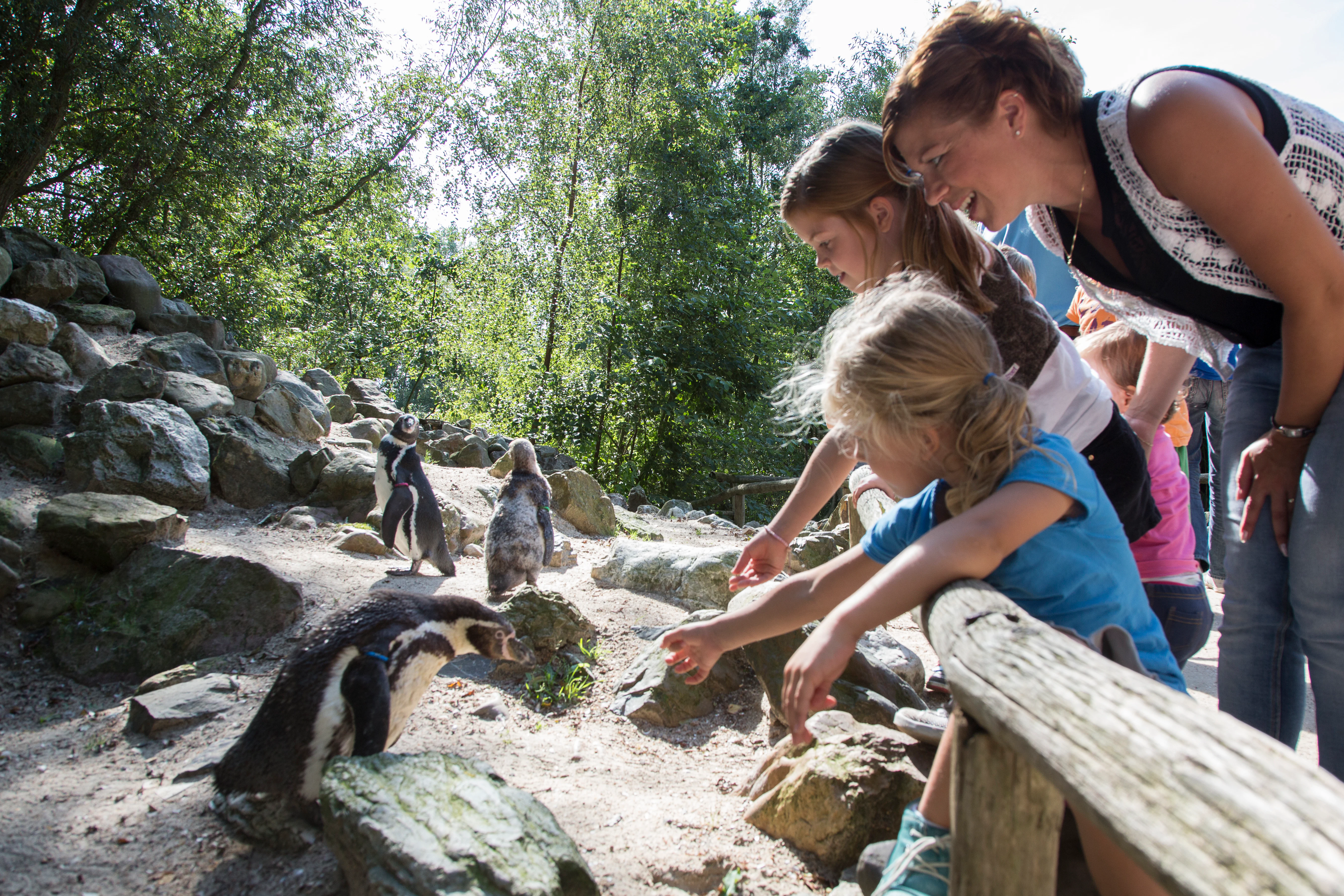 Tickets voor AquaZoo Leeuwarden | Leeuwarden