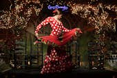 Espectacle de flamenc