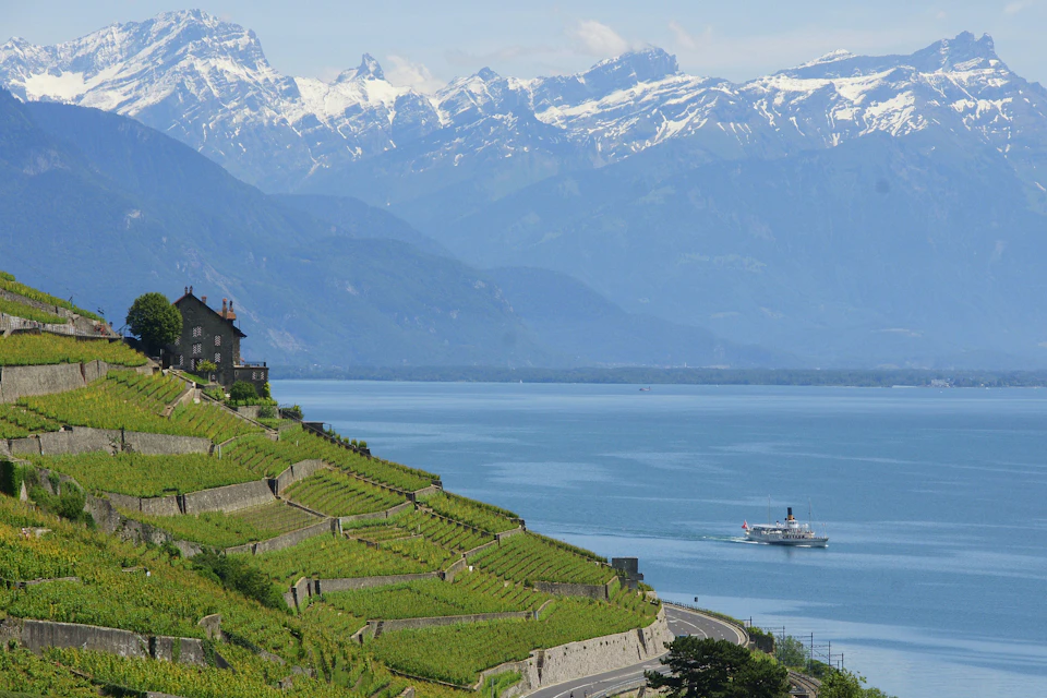 Terraced vineyards overlooking a large lake with a boat, surrounded by snow-capped mountains in the background.