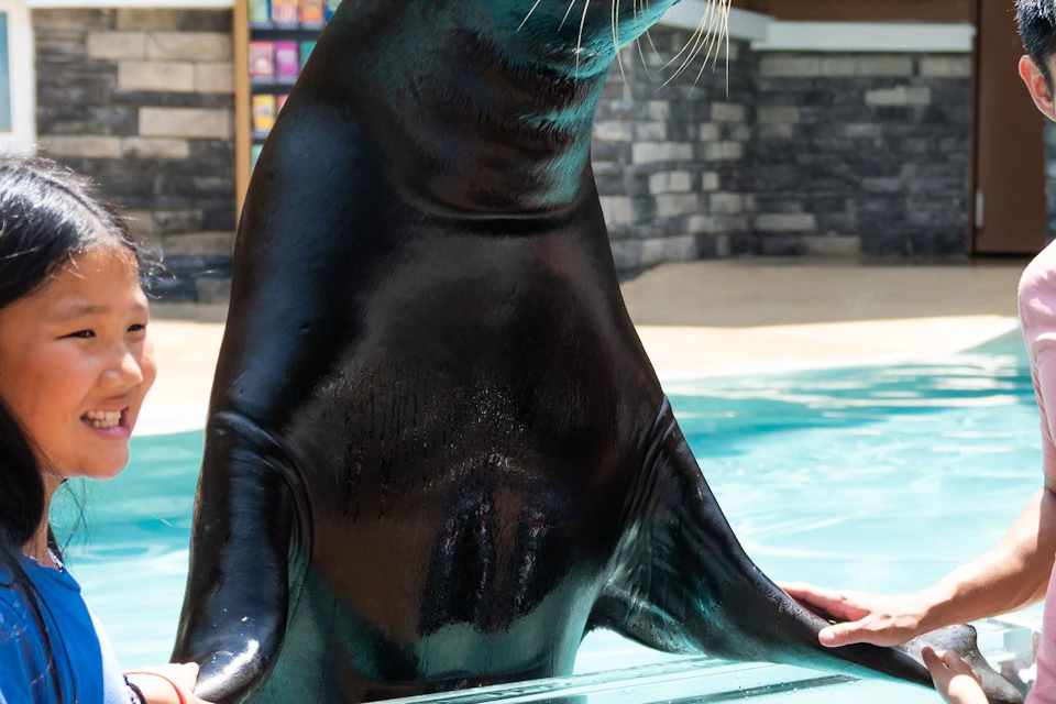 SeaWorld Orlando: Fast Track Ticket