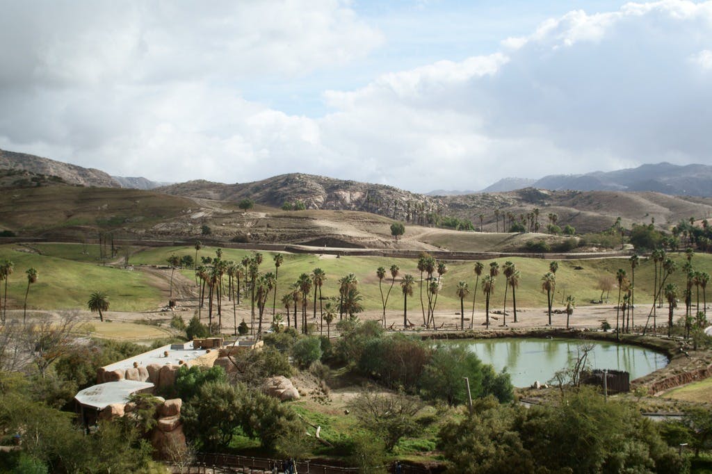 サンディエゴ動物園サファリパーク