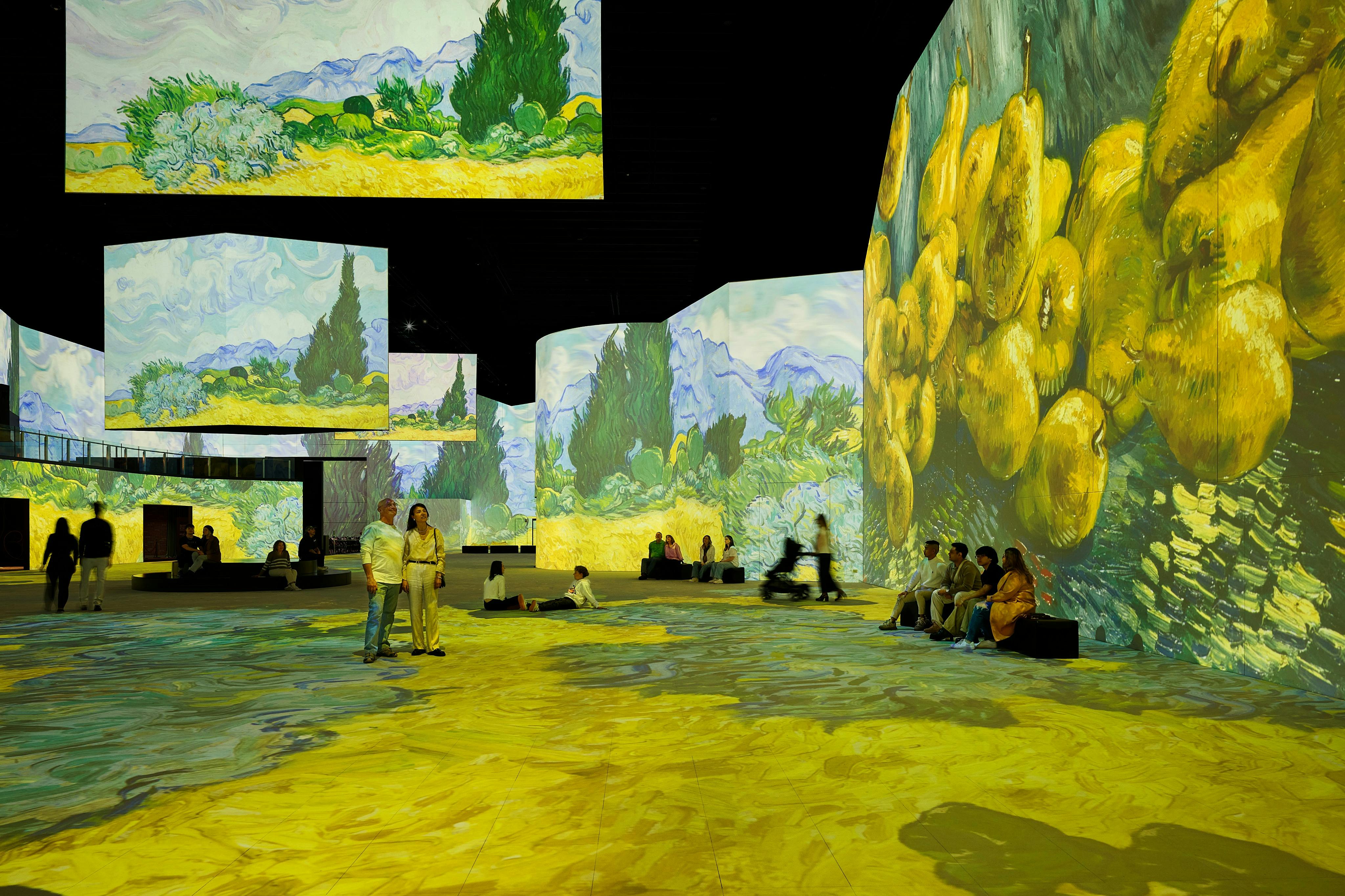 Image of THE LUME Melbourne displays