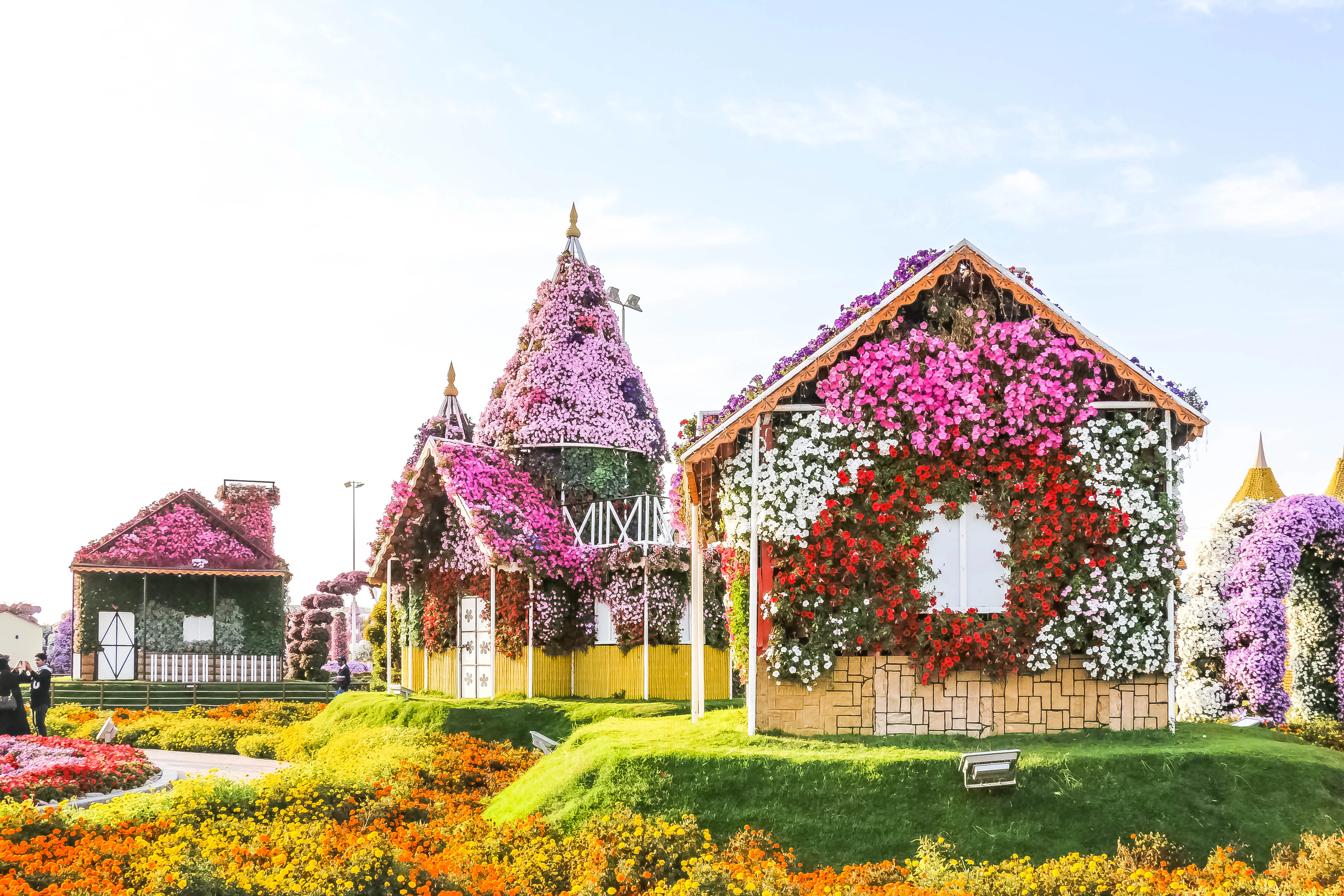 Miracle Garden & Butterfly Garden: Guided Tour and Transportation from Dubai
