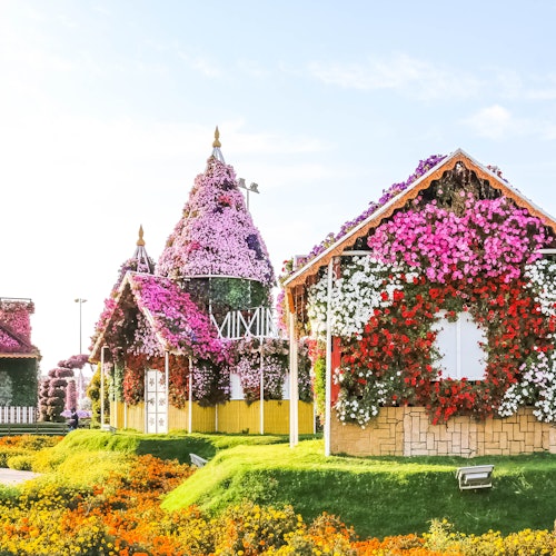 Miracle Garden & Butterfly Garden: Guided Tour and Transportation from Dubai
