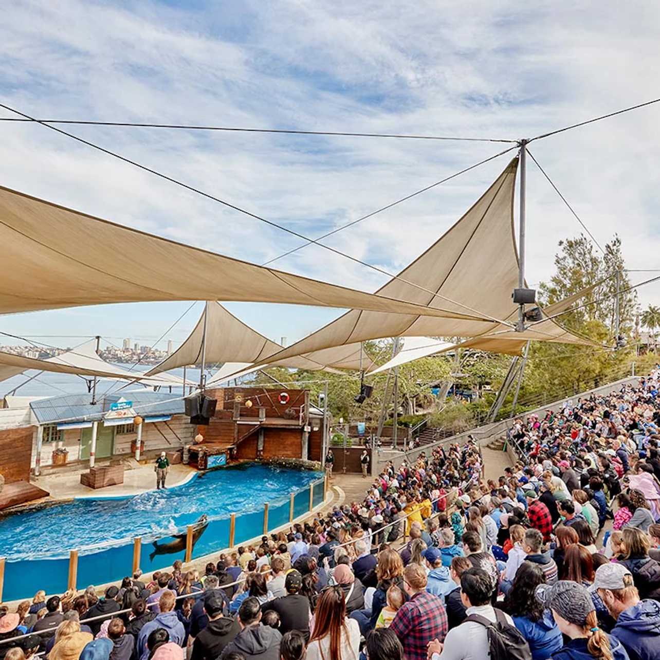 Taronga Zoo Sydney: Entry Ticket in Sydney β Tiqets