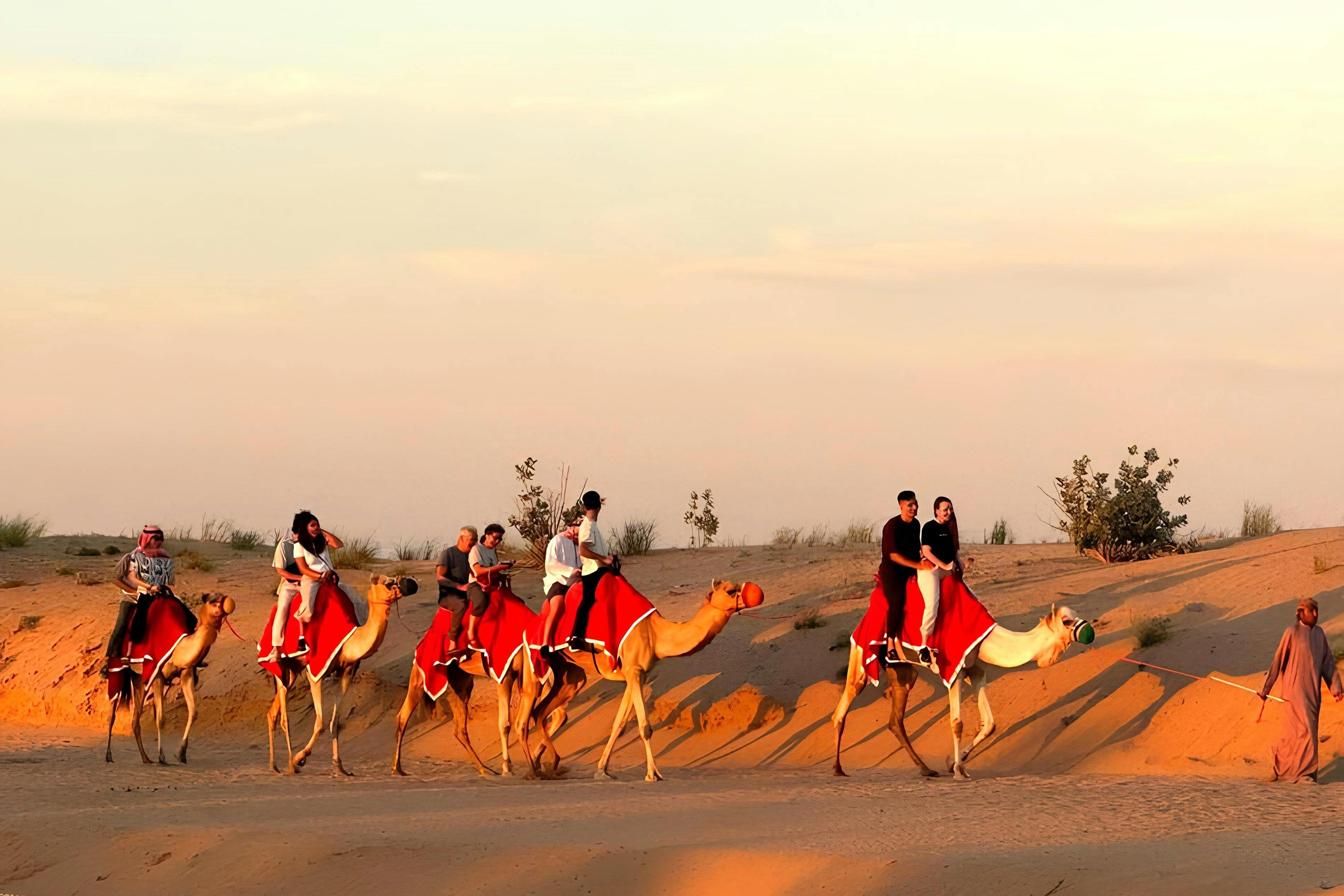 Dubai: Tour Safari nel deserto al tramonto + giro in cammello + cena BBQ — 9