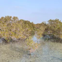 Mangrove National Park