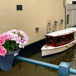 Amsterdam: 1.5 Hour Private Saloon Boat Tour 3