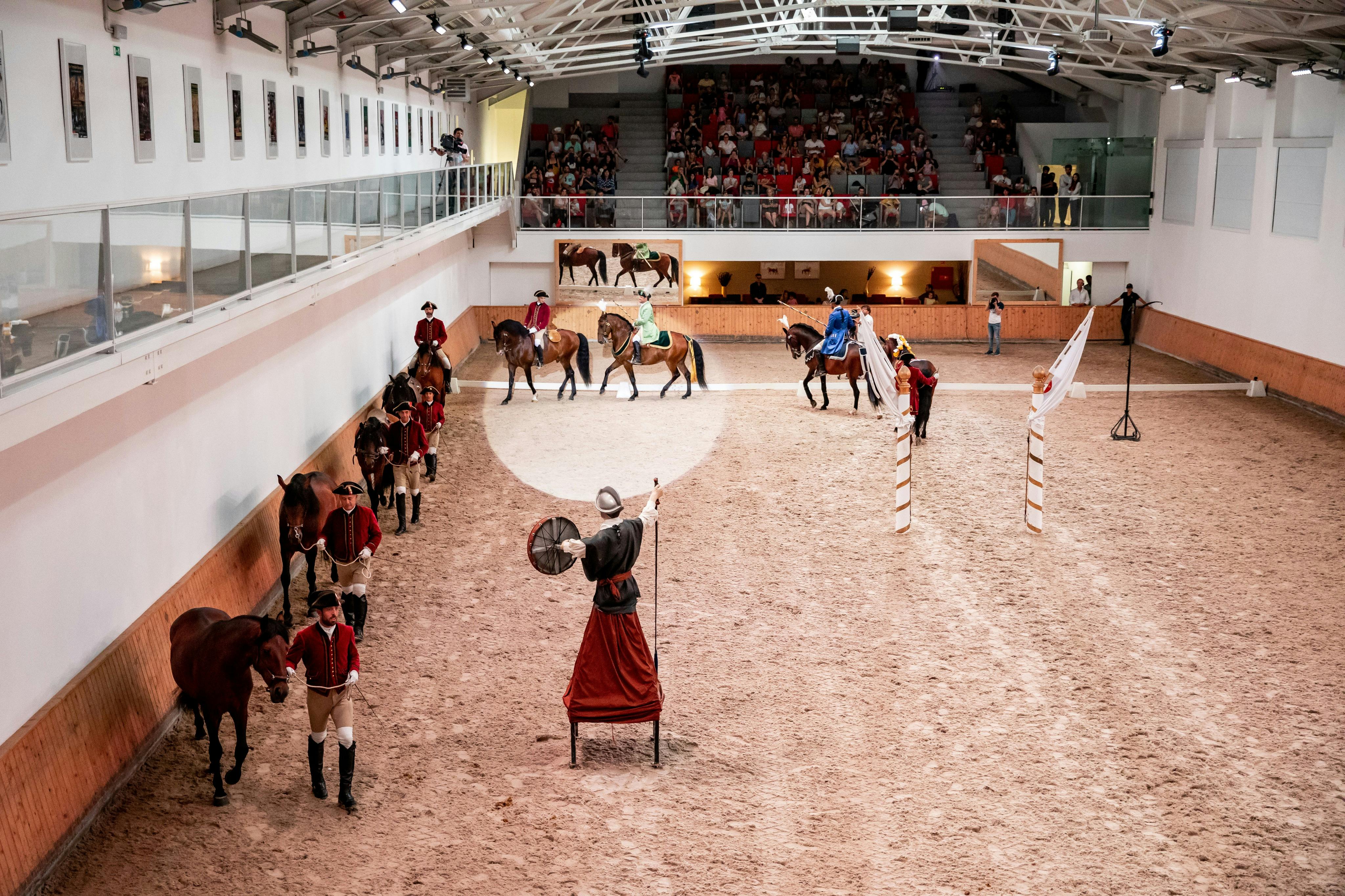 <City 76528> things to do #6: Portuguese School of Equestrian Art