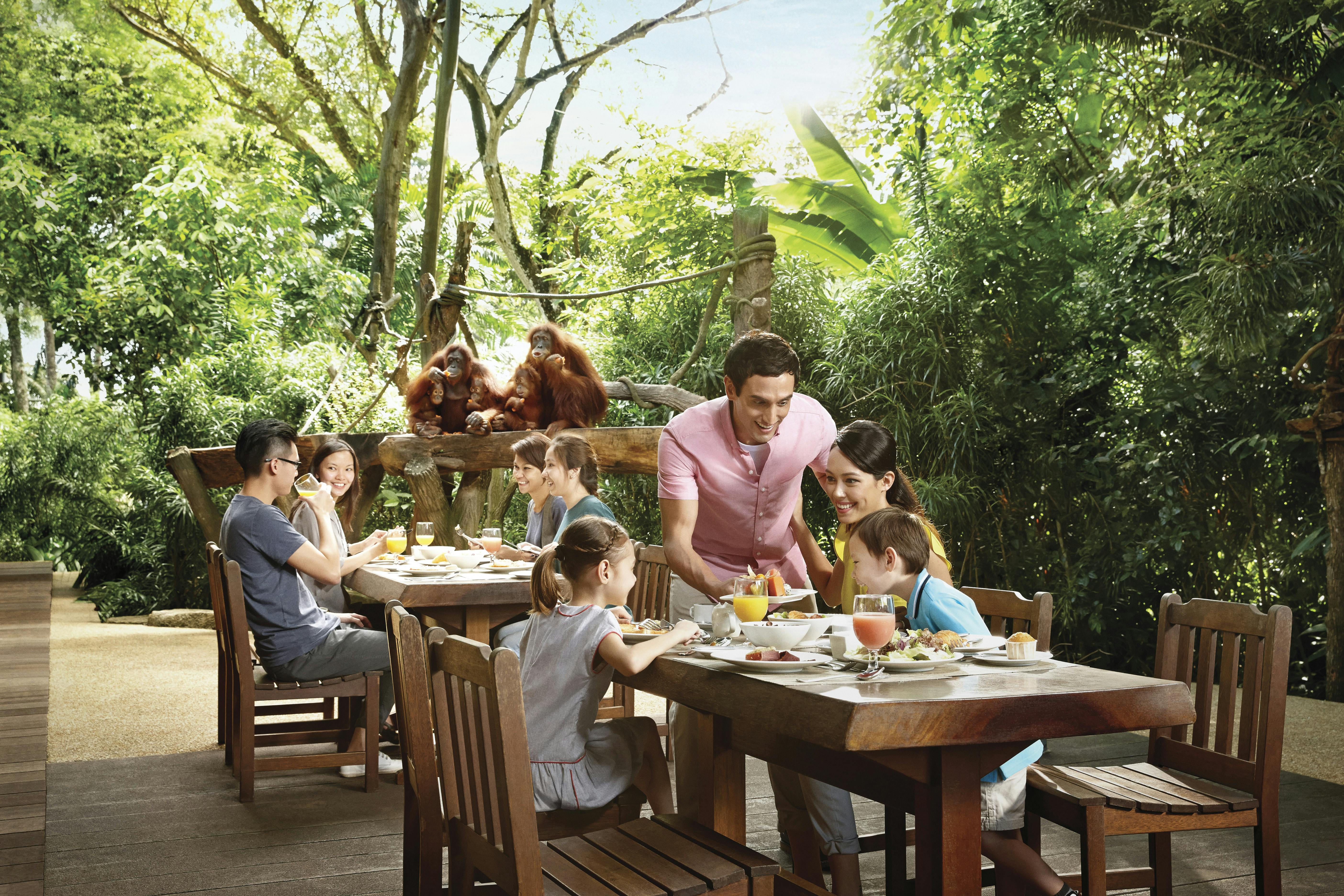 Lidé stolující venku s orangutany na dřevěné plošině v pozadí obklopeni bujnou zelení.