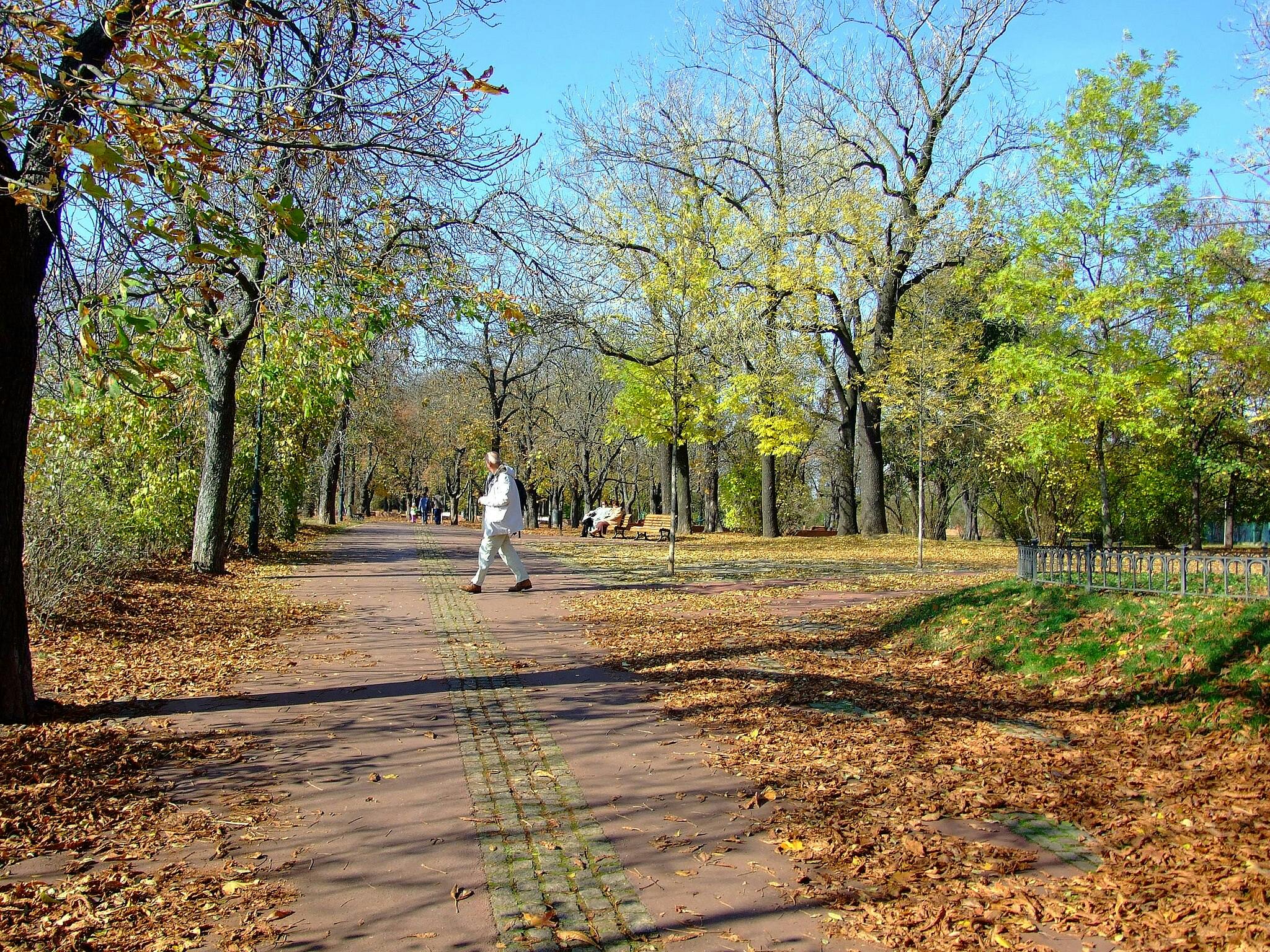 Une personne marche le long d'un chemin de parc bordé d'arbres et couvert de feuilles mortes, plusieurs autres personnes étant visibles au loin.