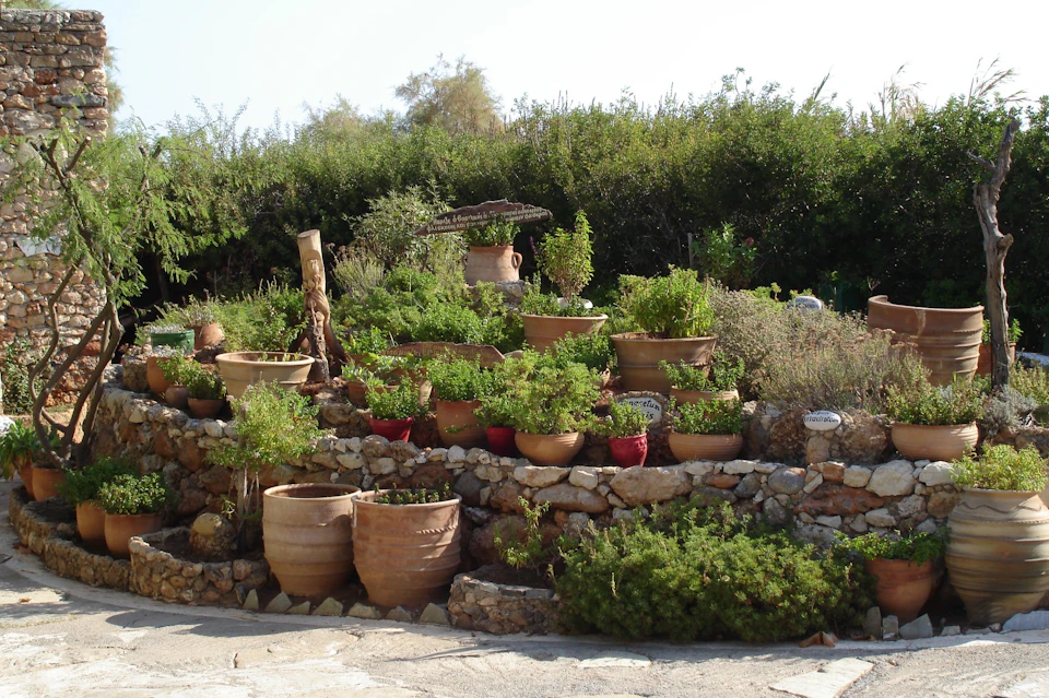 HERB GARDEN