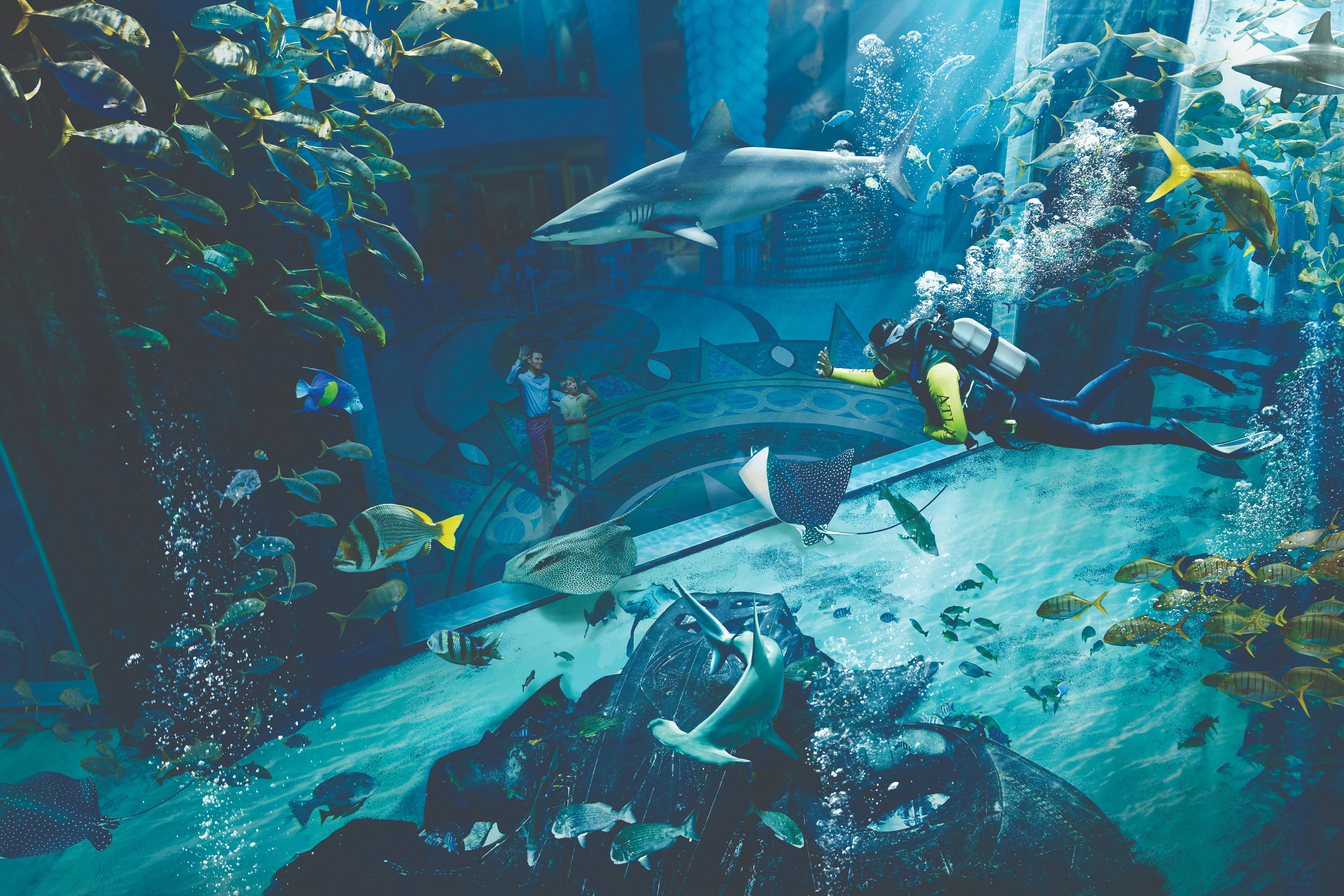 Lost World Aquarium: Diving & Snorkeling Experiences