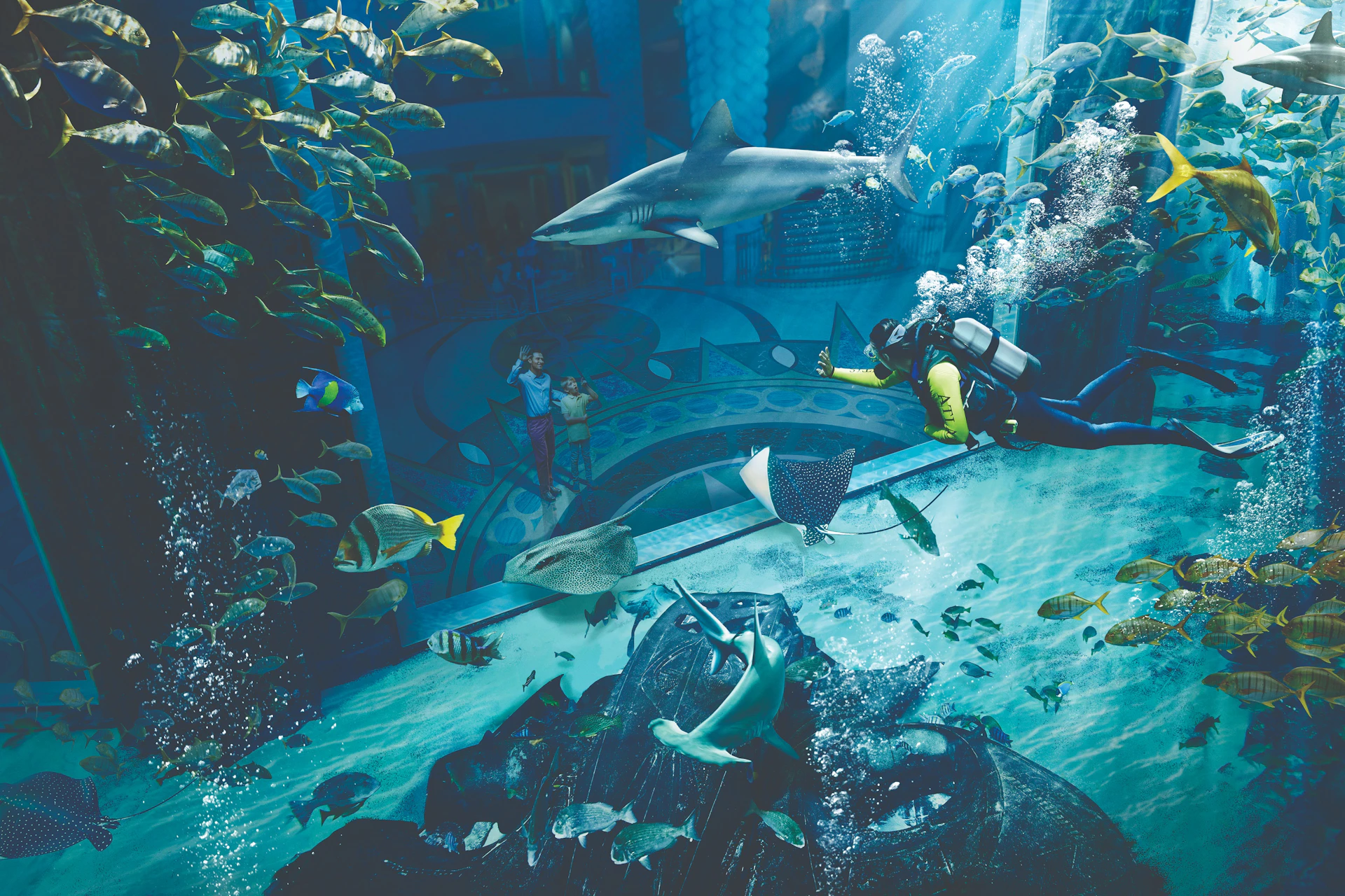 Atlantis The Palm - Dive Discovery