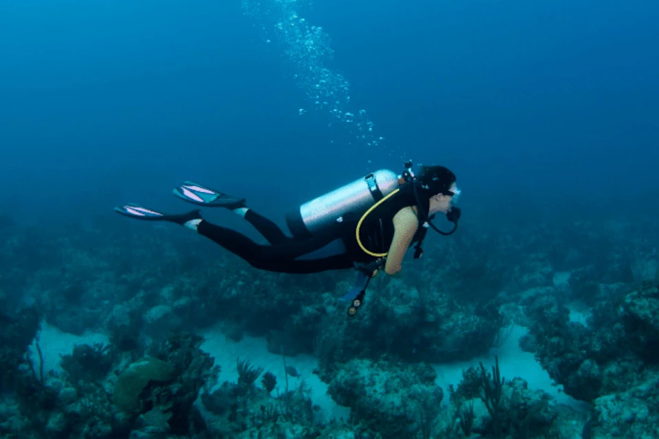 Exploring the depth
