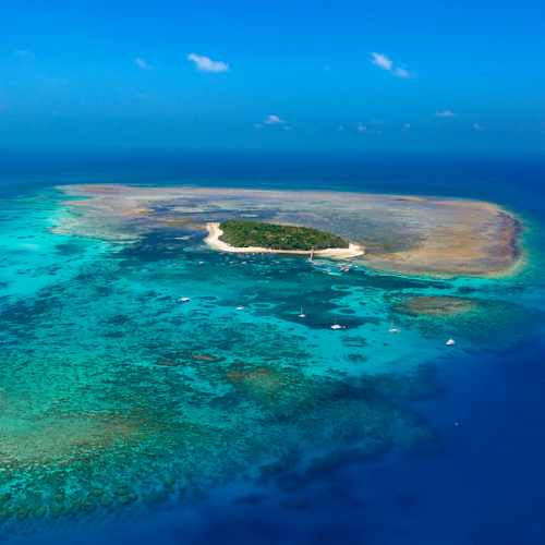 Cairns: Green Island Ferry Transfer + Optional Snorkel