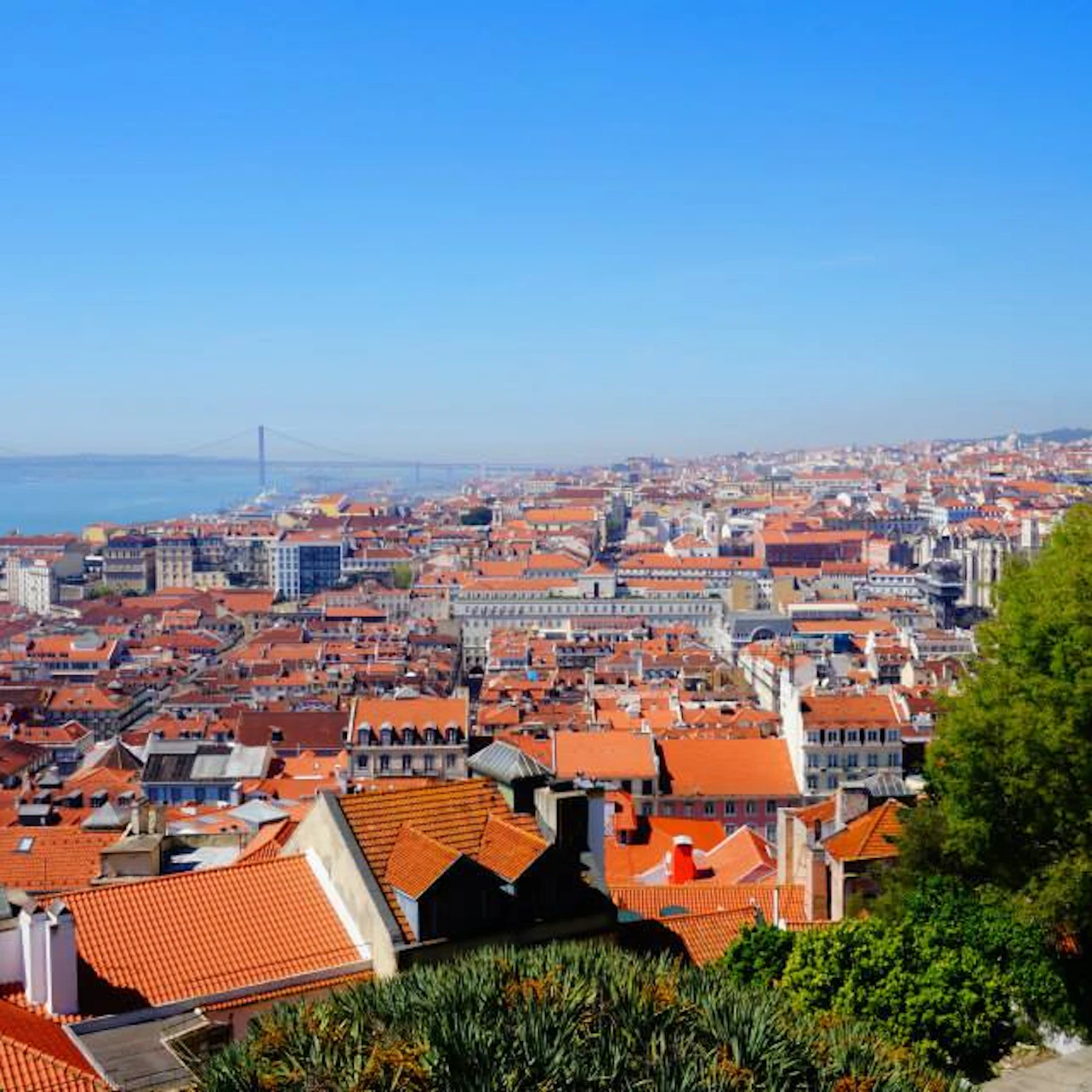 Lisboa Card: Access 51 Attractions + Public Transportation in Lisbon – Tiqets