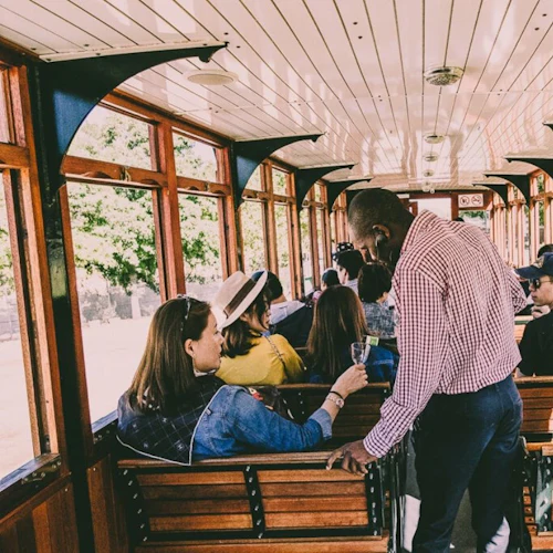 Boulders Beach & Cape Point: Half-Day Tour