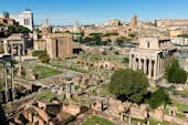 Das Forum Romanum und der Palatinhügel