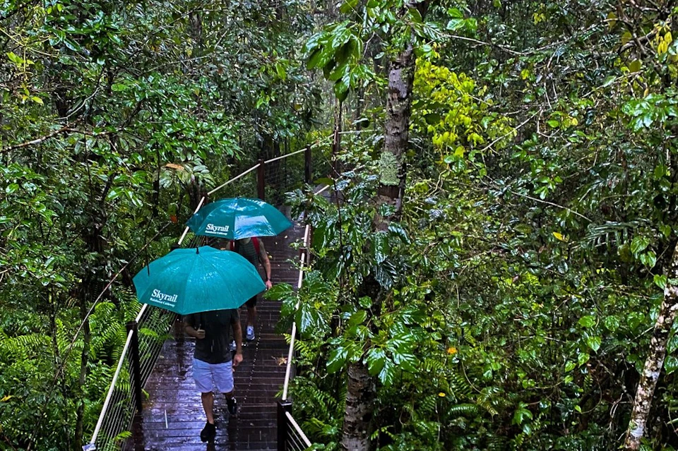 Return Skyrail Rainforest Cableway Inbound
