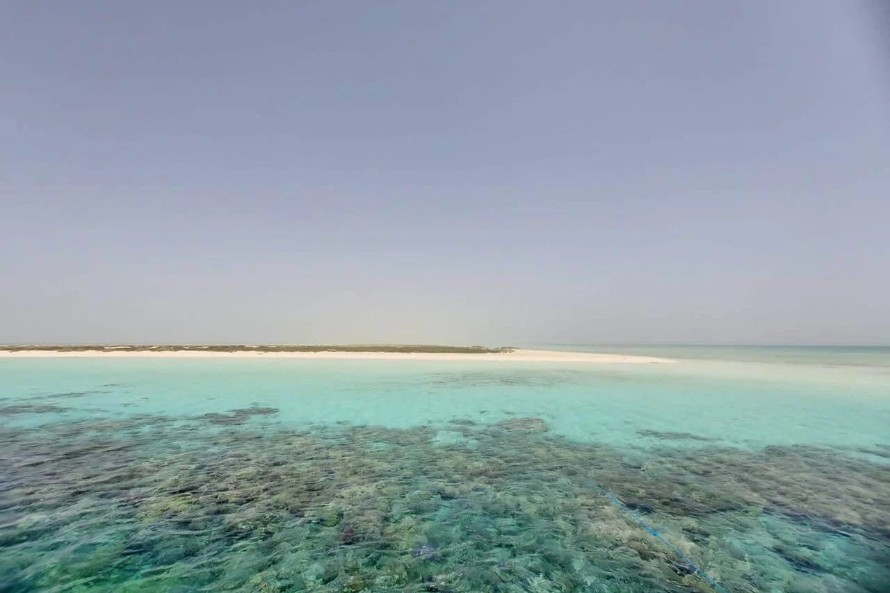 Hamata: Snorkeling + Roundtrip Transfer + Lunch