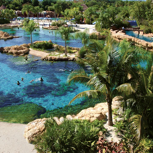 Discovery Cove: Entry Ticket