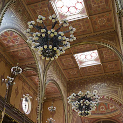 Dohány Street Synagogue: Fast Track Ticket 4