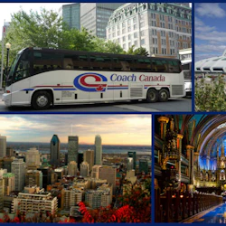 Heart of Montreal: Guided Bus Tour 4