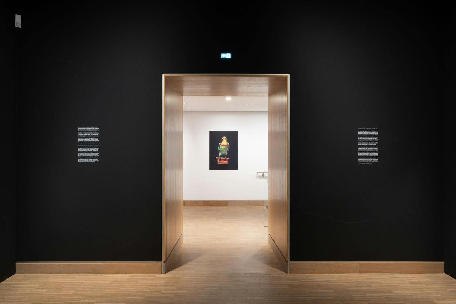 © Fotostudio Albertina