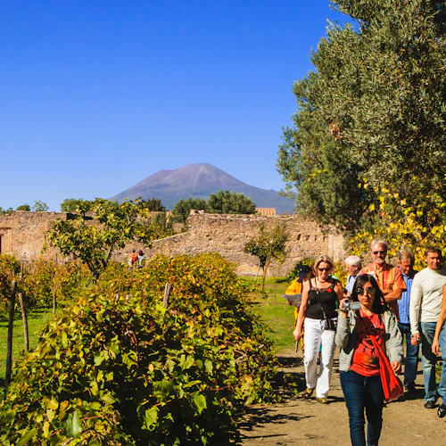 Pompeia e Herculano: Visita guiada para pequenos grupos com almoço - Photo 8