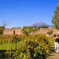 Mt. Vesuvius en wijngaard