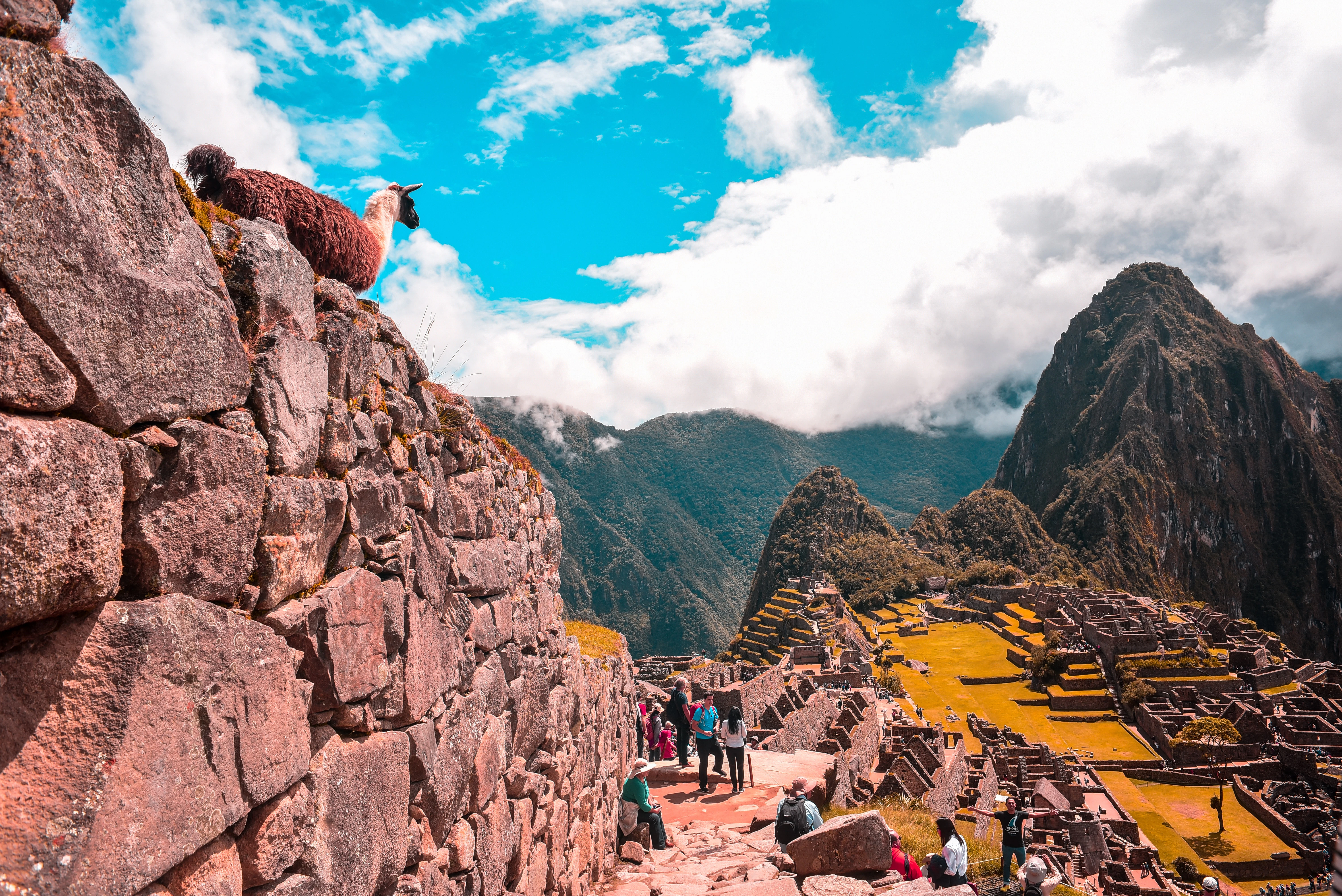 Tourists exploring ancient ruins on a mountain with a llama standing on a stone wall, under a bright blue sky with clouds.