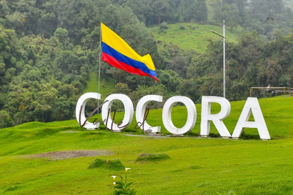 Cocora