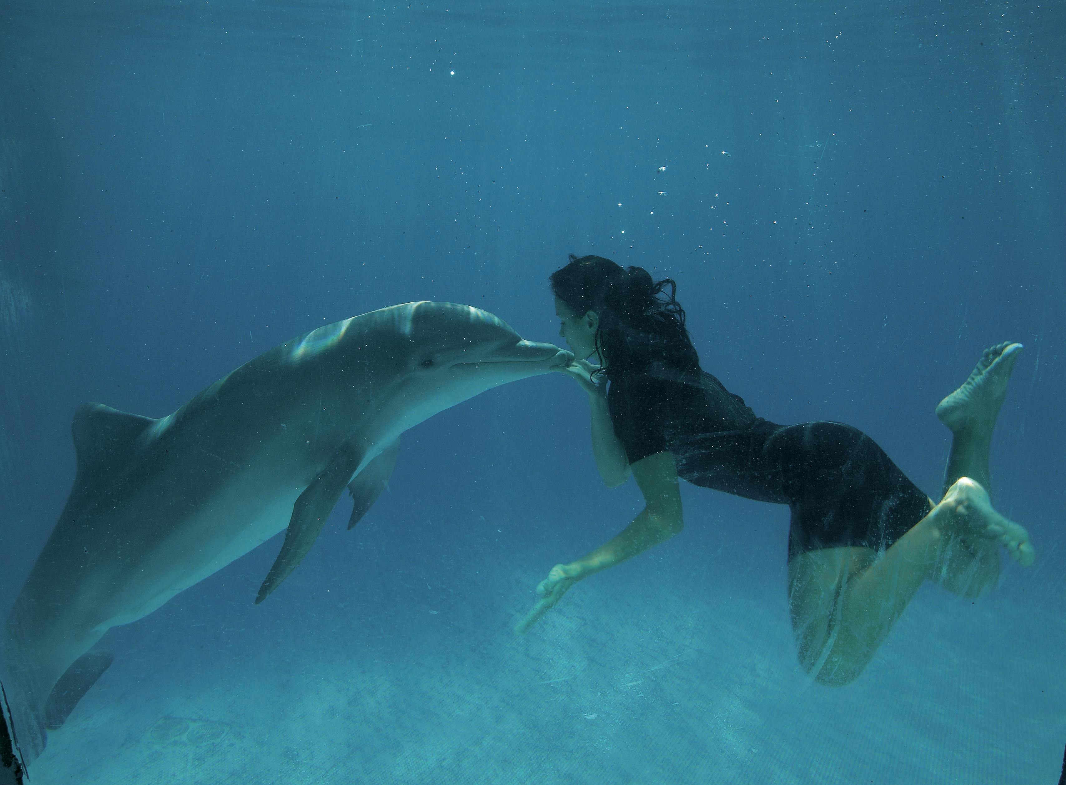 검은색 수영복을 입은 여성이 물속에서 돌고래의 코를 부드럽게 만지고 있습니다.
