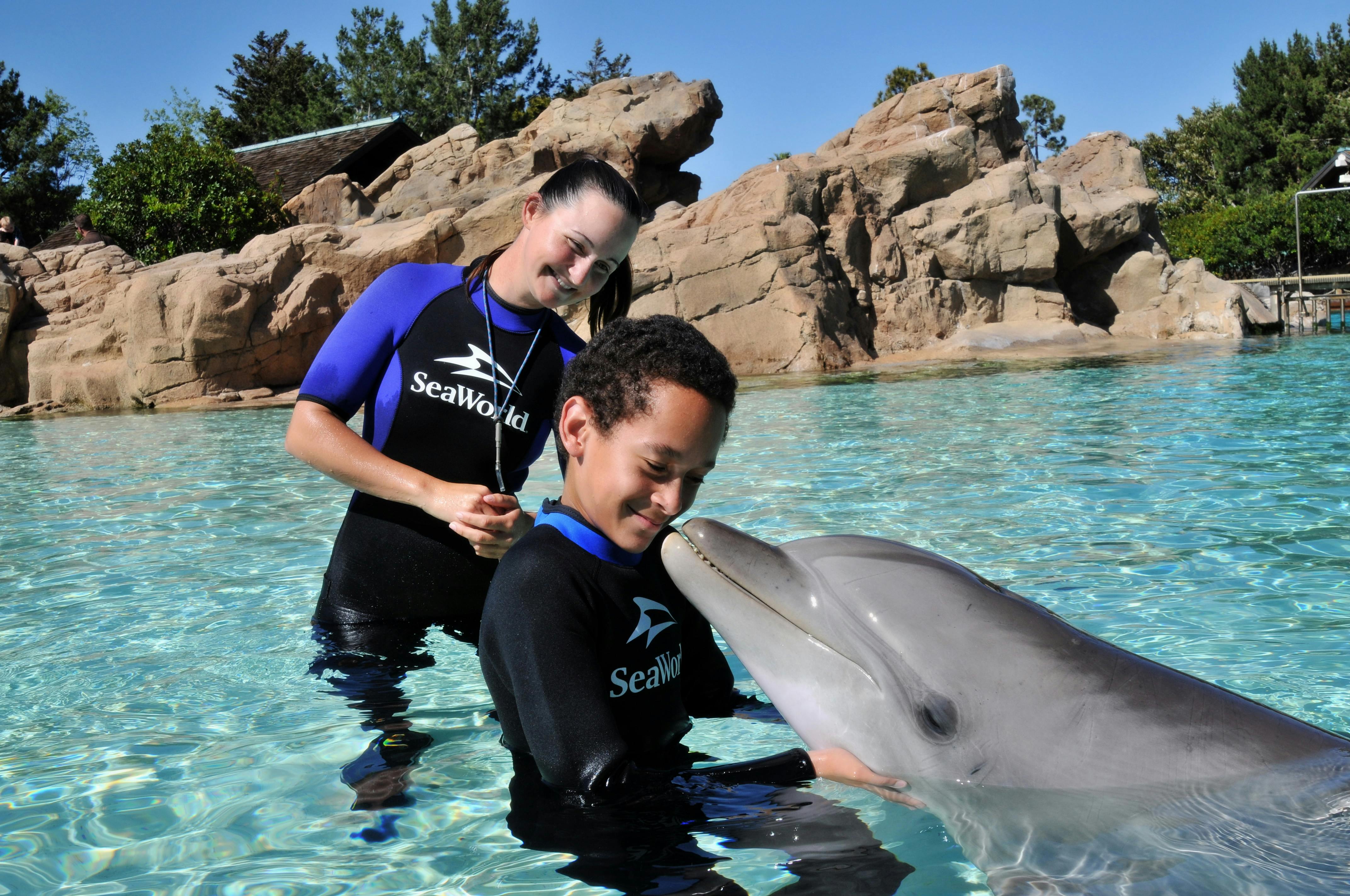 Ένα αγόρι αλληλεπιδρά με ένα δελφίνι σε μια πισίνα, καθοδηγούμενο από μια γυναίκα με στολή κατάδυσης «SeaWorld». Το βραχώδες έδαφος και τα δέντρα βρίσκονται στο παρασκήνιο.