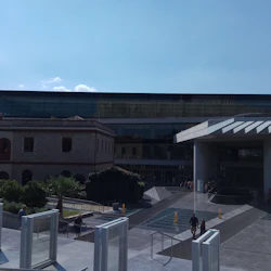 Acropolis of Athens & Acropolis Museum: Guided Tour 4