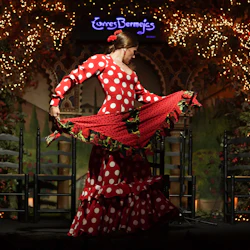 Madrid: Flamenco Show at Tablao Torres Bermejas in destination