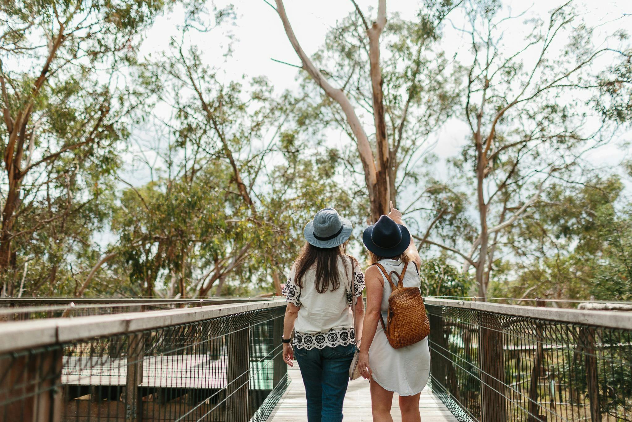 Two people in hats walking on a wooden boardwalk surrounded by tall trees.