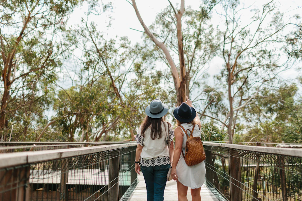 Two people wearing hats walk on a wooden pathway surrounded by tall trees, with one pointing towards the scenery.