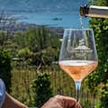 Bicchiere da vino della cantina Vesuvio