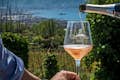 Vesuvio Winery Wine Glass