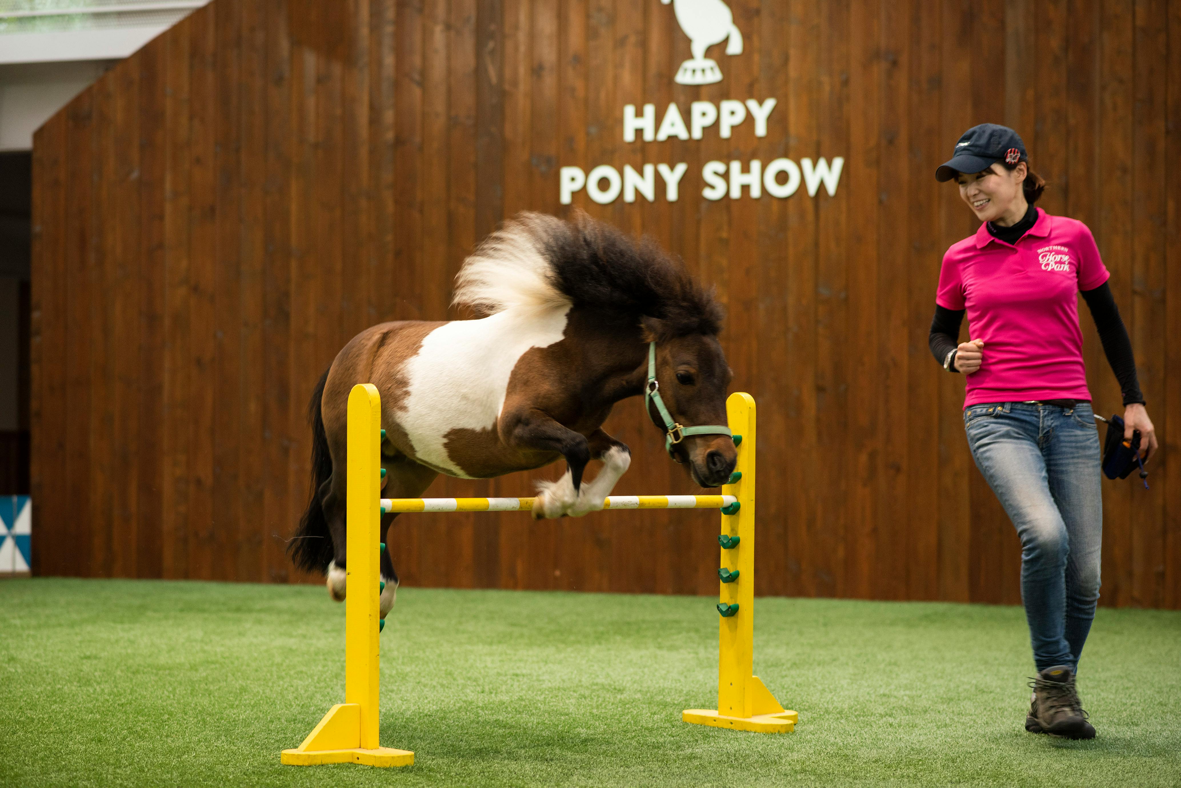 Northern Horse Park Tomakomai: Entry Ticket for Spring/Summer/Autumn - Photo 3