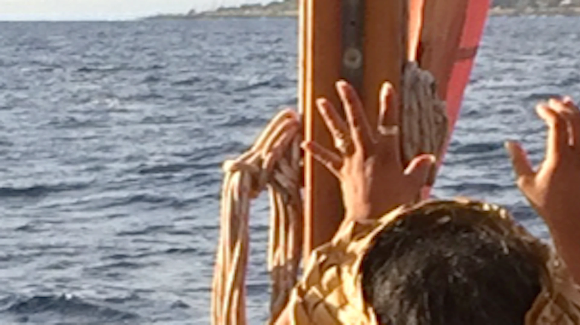 A group of people on a boat, some clapping, with mountains and the ocean in the background. One person wears a "Crew" shirt.